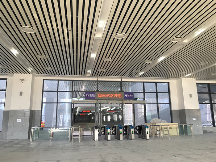 全國、省市政協(xié)委員體驗(yàn)蘭渝鐵路、視察階州廣場