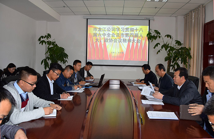 市龍江公司召開全體員工大會(huì)，專題傳達(dá)學(xué)習(xí)上級(jí)會(huì)議精神