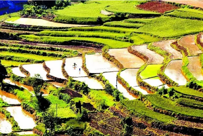 財(cái)政部 國務(wù)院扶貧辦發(fā)文進(jìn)一步推進(jìn)貧困縣統(tǒng)籌整合使用財(cái)政涉農(nóng)資金工作