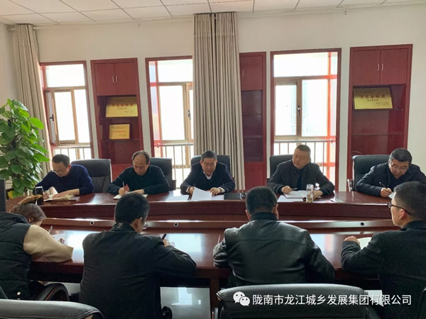 市龍江集團(tuán)傳達(dá)學(xué)習(xí)市委四屆十次全會(huì)暨市委經(jīng)濟(jì)工作會(huì)議精神